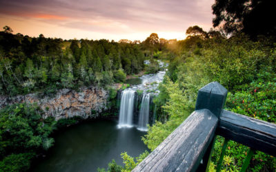 Chasing Waterfalls: A Short Guide To Dorrigo Waterfalls